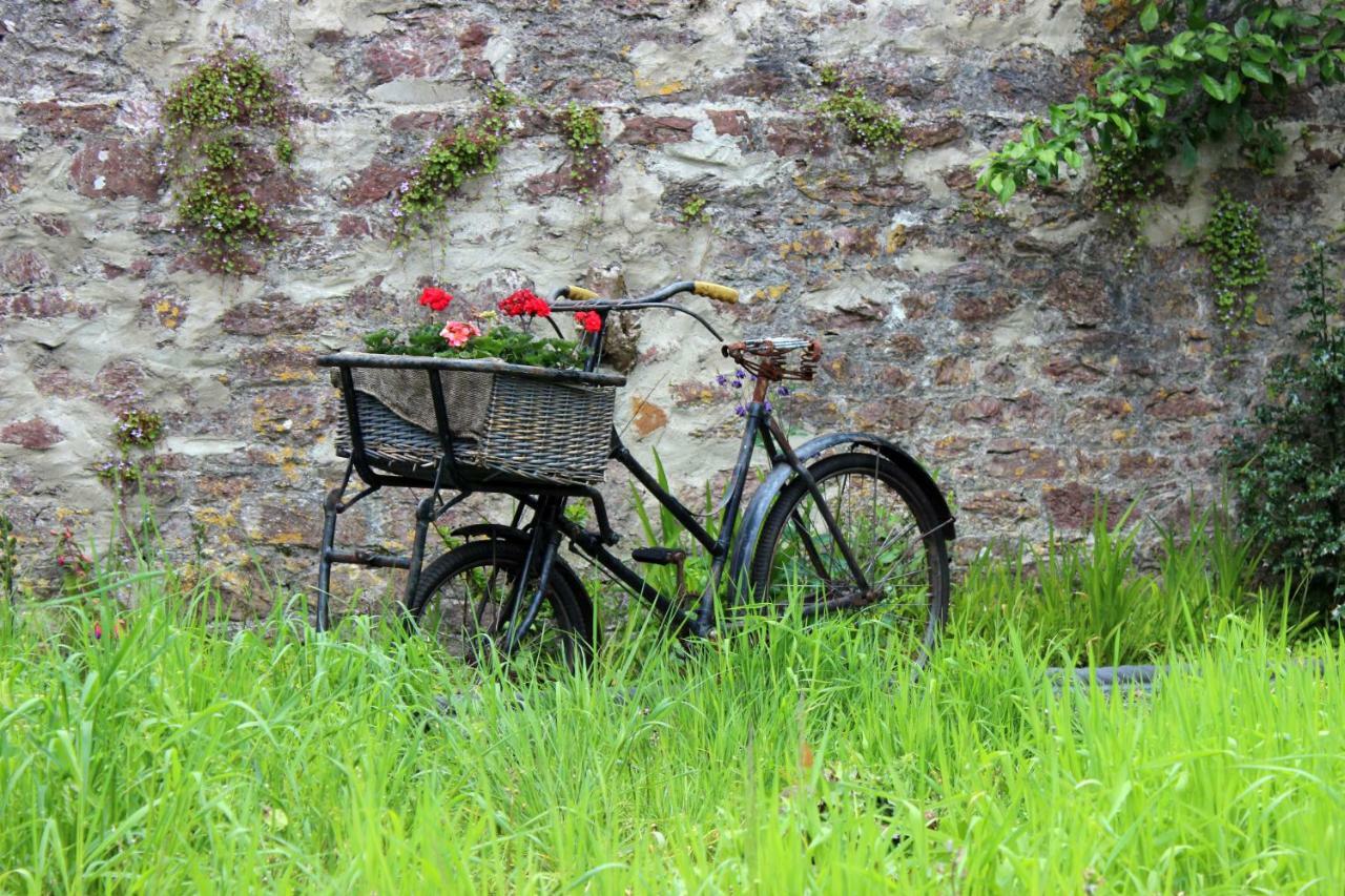 Bed and Breakfast St Katharine'S House Milford Haven Zewnętrze zdjęcie